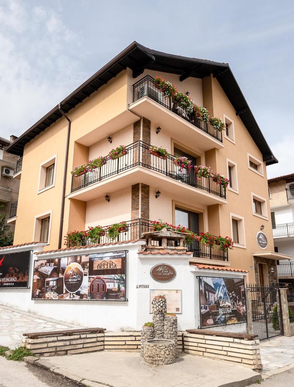 Beluga Guest House Welingrad Exterior foto